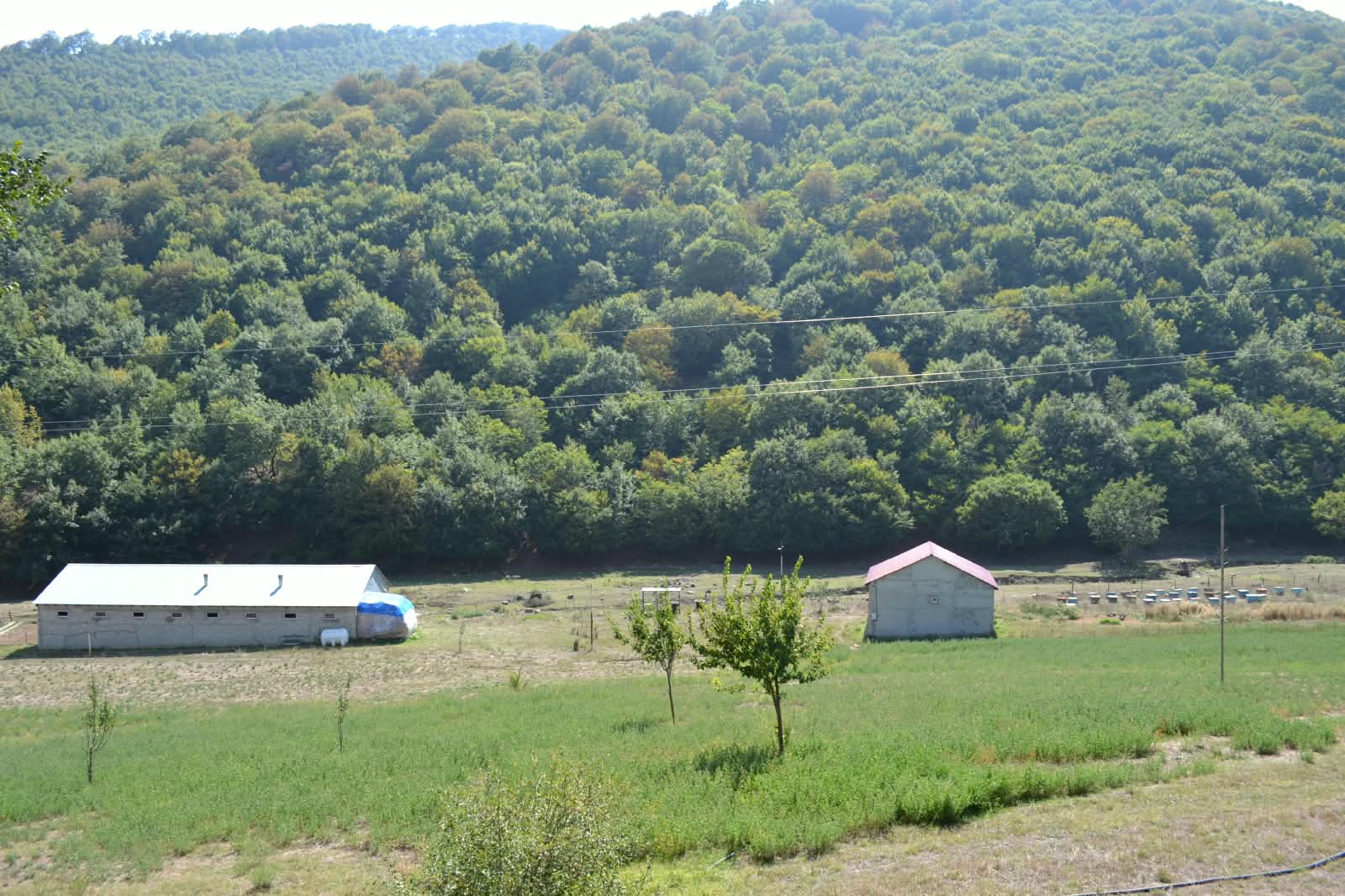IMG-20260917-WA0056.jpg