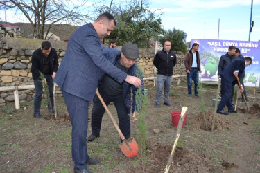 Yardımlıda “Yaşıl dünya naminə həmrəylik ili” çərçivəsində ağacəkmə aksiyası davam etdirilir.